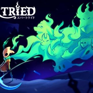 evertried-pc-mac-game-steam-cover